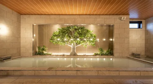 Tabino Hotel Aso Kumamoto Airport