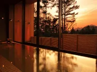 Karuizawa Prince Hotel West - Hot Springs