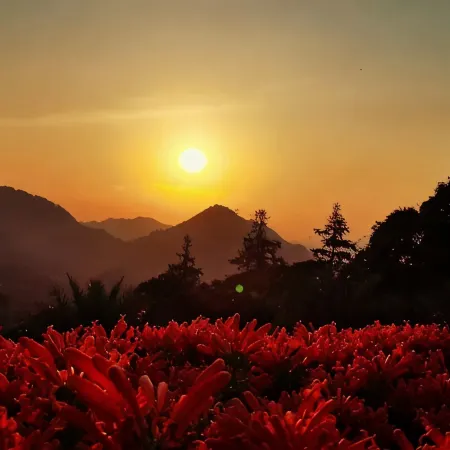 Guangzhou Shimen Valley Secret B&B