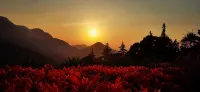 Guangzhou Shimen Valley Secret B&B - Jacuzzi