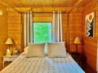 Serene Cottage Escape in Wells, NY ADK Peace, Pines & Possibility. Dogs Welcome! - Wifi
