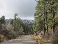 Heiden’s Hideaway.  Private Community. 30 Min to Durango/Vallecito