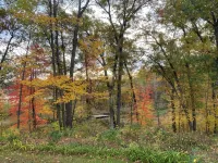 Odie's Cabin - A Northwoods Get Away