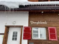 Engel Ingold Lodge-Romantic place in the middle of the Swiss Alps-Hotel Services - Chalets
