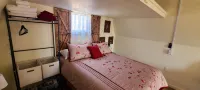 Cozy cabin on a working horse rescue with WiFi, HVAC, plumbed outhouse, shower