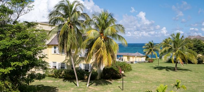 JamaicaTime Driftwood Sea Palms · Ultimate 3Br Condo Ocho Rios Beach Front Pool Hotels in Tower Isle