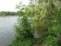 Cottage apartment in Caputh-Schwielowsee with Havel view - Wifi