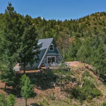 Charming 3-bedroom cabin in Florissant, CO