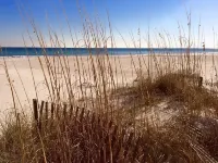 The Oasis at Orange Beach 3Bed 4Bath - Private Pools