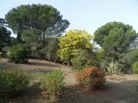 Collioure: beautiful apartment classified , quiet, swimming pool, garden, private parking