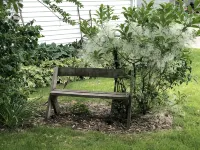 Serenity Cottage at Mineral Point - Wifi
