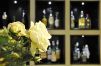 Hotel Patria - Baarit