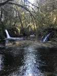 ‘Volcano Country’ Creek side Cottage in Doty - Hytter