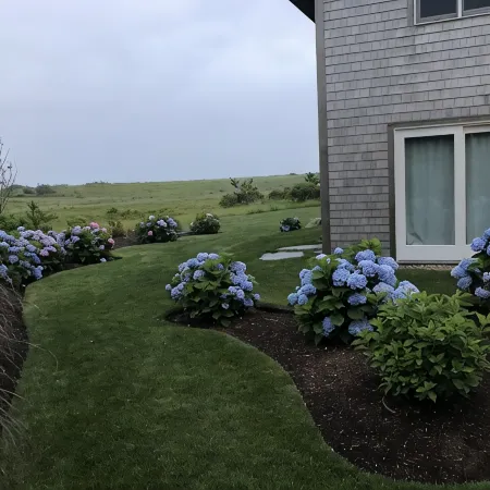 Ultimate relaxation at the beach and conservation land, completely renovated