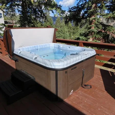 License # 3031 Estes Park remodeled detached cabin, views, quiet area.