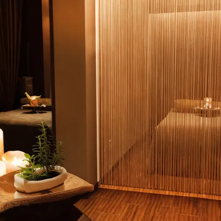Hikone Castle Resort & Spa