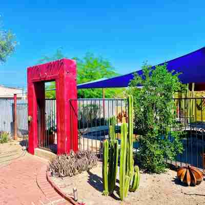 Artsy Historic Downtown 2BR w large backyard & private Salt Water Spa Pool Hotel Exterior