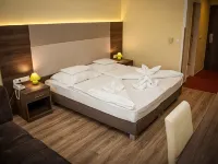 Jade Hotel-Ezüsthíd Hotel Hotels in Veszprem