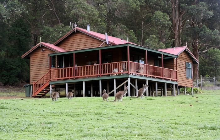 Cabins Nestled in 170 Acres of old Growth Forest Near the Valley of the Giants