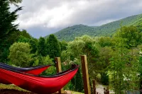 Hot Tub, Private, Rustic Elegance, Visit Barn Animals, Hammocks, 10Miles to Avl. - 샬레 호텔