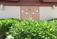Oceanfront Create Forever Memories, Panoramic Views; 2 Bdrm, 2 Bath, Central A/C - 4성급