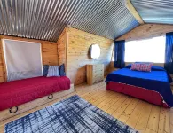 Silvery Lupine Cabin 5 - 2 bedrooms in Creede, Colorado - Hytter
