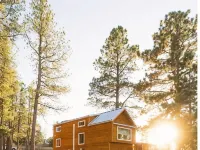 Cozy brand new tiny home! Amazing experience - Homestays