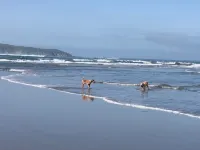 Elegant Coastal Retreat with Ocean Views, Hot Tub & Dog Friendly - ติดทะเล