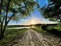 Ocala National Forest  FL-Pet Friendly-Juanita’s Cabin - Alphydda