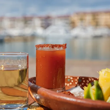 Flamingo Vallarta Hotel & Marina