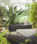 Hotel Domus - Pet-friendly