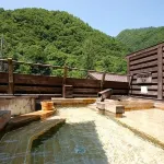 矢別館 - 溫泉
