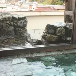 Yanagawaya Ryokan - 2 stjerner