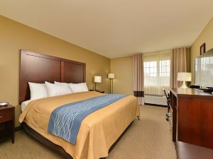 Comfort Inn and Suites Manheim