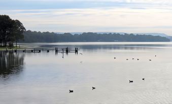 a calm lake with a few birds flying over the water , and a few wooden poles in the distance at Bridge View Motel