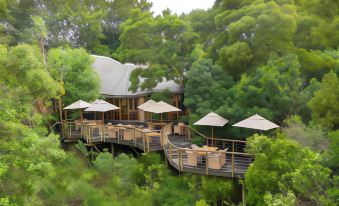 Tsala Treetop Lodge