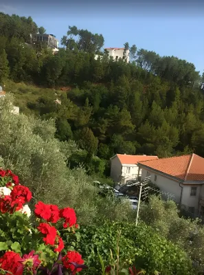 Levantin Inn 1/2 Room N.11