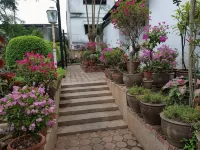 Penthouse Hotels in Betong