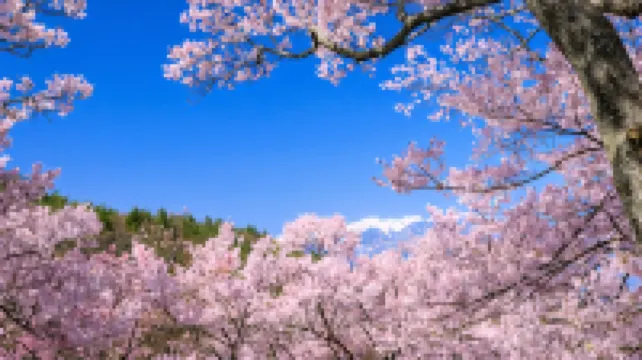 Komagane Green Hotel