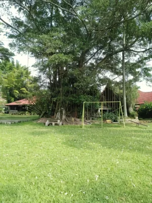 Bagus Bay Homestay - Pensions