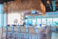 Dolphin Sands Clearwater Beach, Ascend Hotel Collection - bar