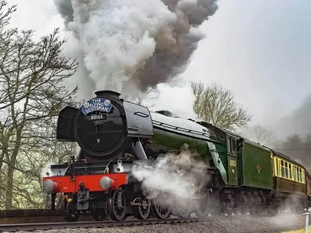 Horseshoe Hotel Отели в г. Агторп