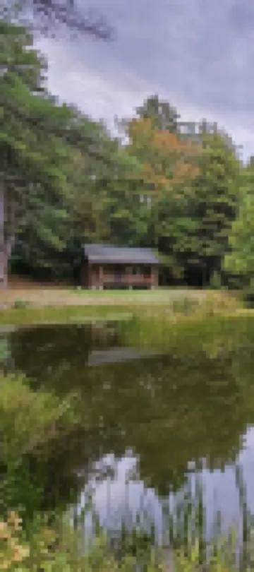 Very private log cabin nestled in the woods to unwind & unplug.