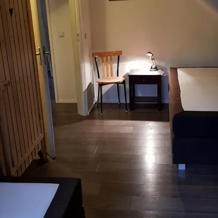 Luxury vacation home with bar billiards and sauna in wooded area Hotels in Lochem
