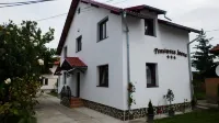 Pensiunea Ioana Hotels in 