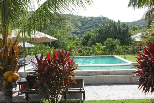 Palm Malinamoc Hotel - Homestays