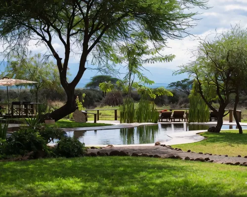 Tawi Lodge Hotels in Entonet