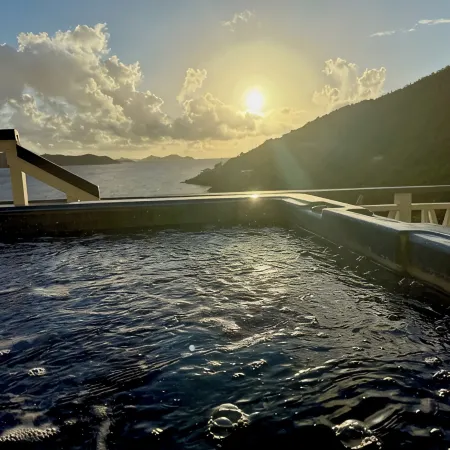 Artistically Designed Home with Huge Ocean Views, Small Dipping Pool and Hot Tub