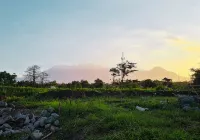 MP Villa Orchards D1 Malang - Homestays