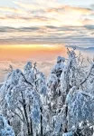 Yixiang Xiaozhu (Wawu Mountain Scenic Area) - Inns
